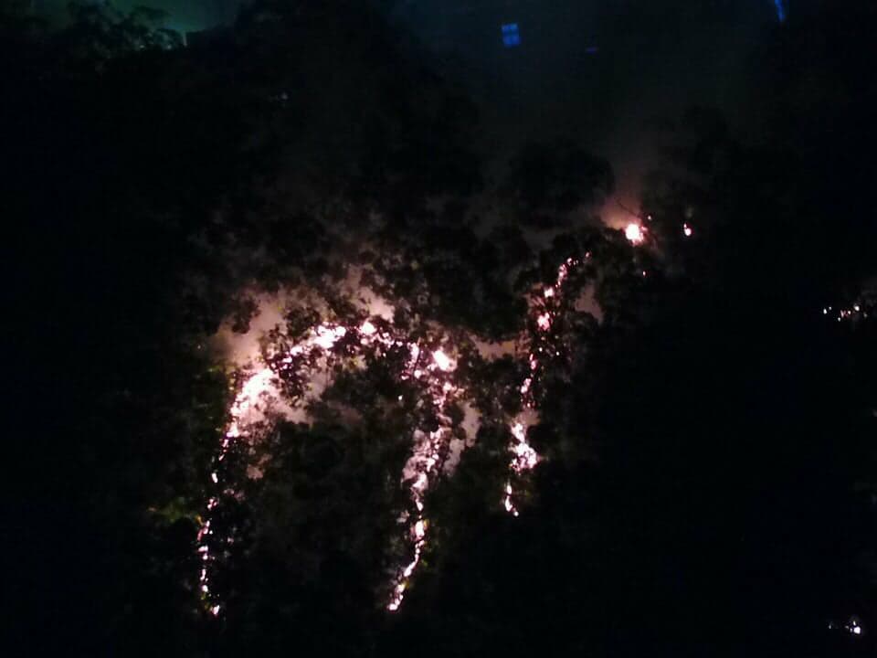 0801 incêncio Xangri-lá 02
