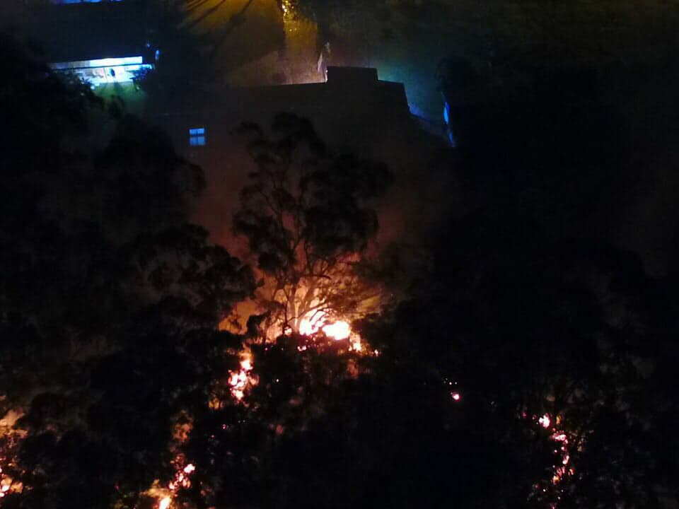 0801 incêncio Xangri-lá