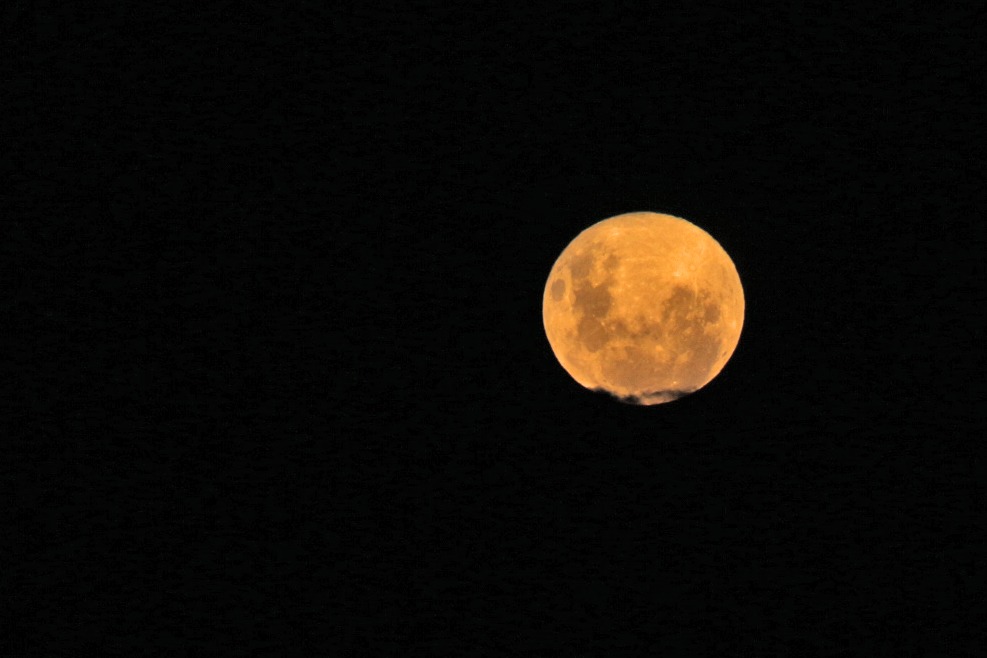 190219 SUPERLUA CIDREIRA RAFAEL PORTELA ROCHA