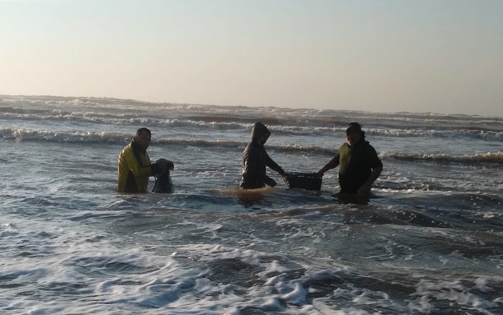 260820 PESCA CAMARÃO QUINTÃO PALMARES DO SUL 2