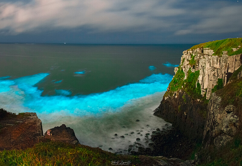 131221 MAR BRILHANTE BIOLUMINESCÊNCIA TORRES 3