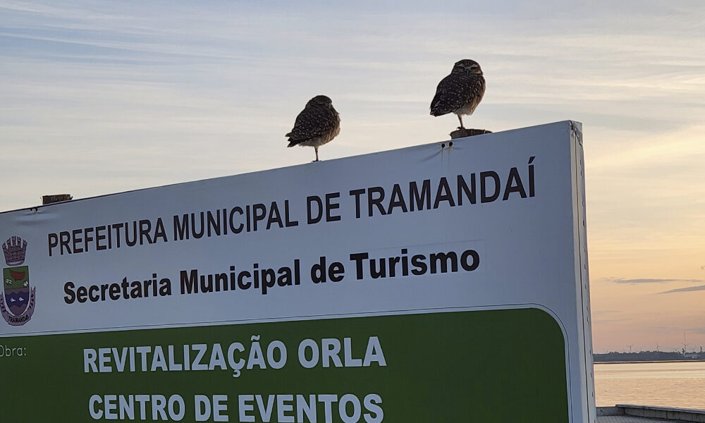 Preparativos para a 32ª Festa Nacional do Peixe entram na reta final