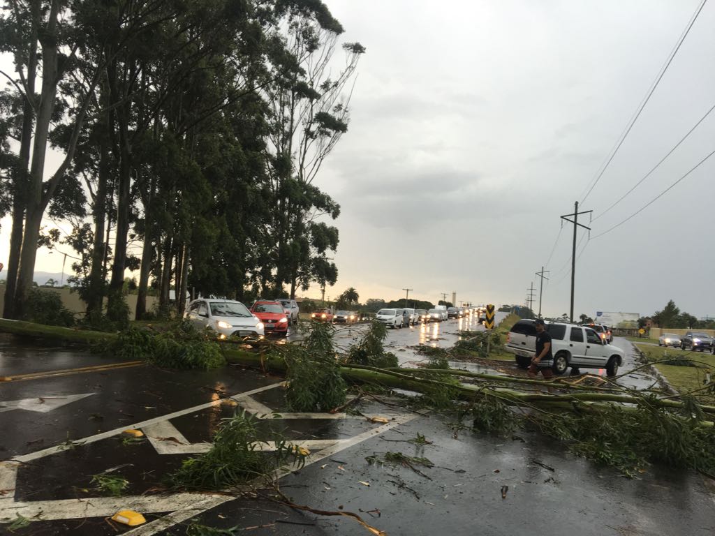 0902 TEMPORAL CAPÃO 2