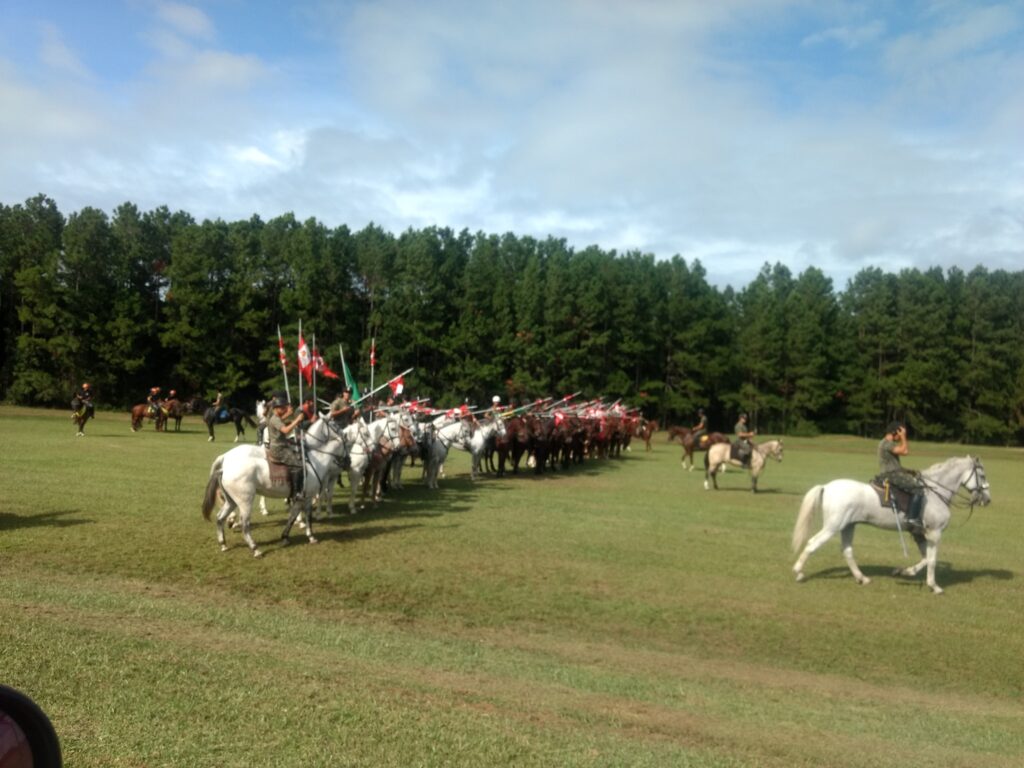 Festa Nacional da Cavalaria