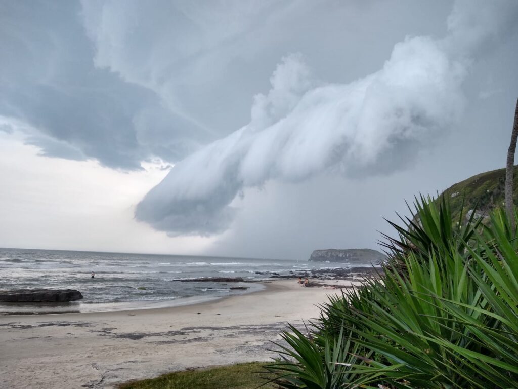 121219 TEMPORAL TORRES