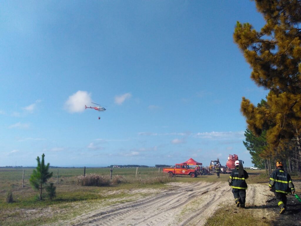 271221 INCÊNDIO PINUS CIDREIRA 2
