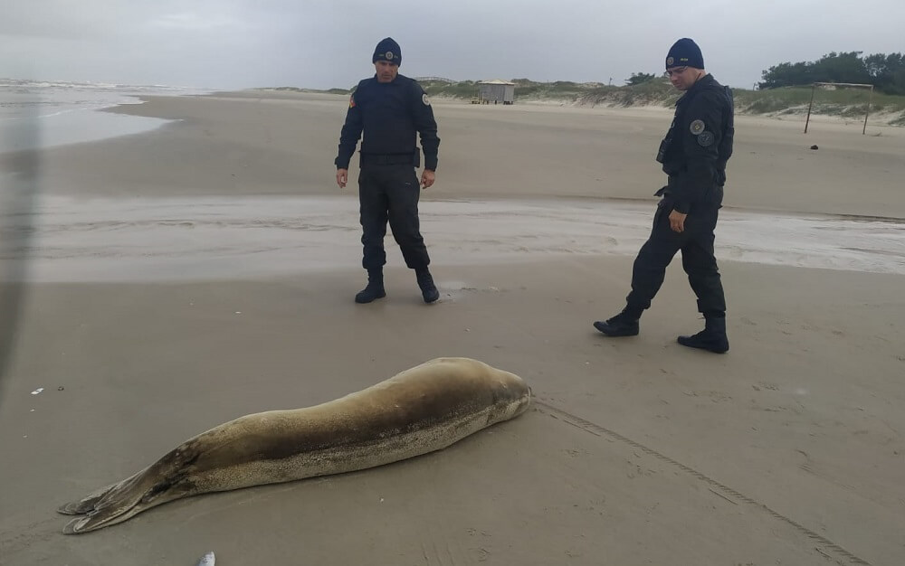 060622 FOCA-CARANGUEJEIRA PINHAL PATRAM