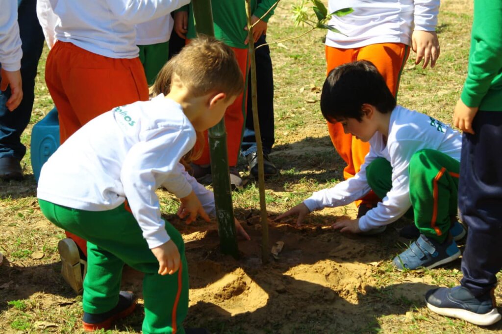 27082022 FLORESCER OSÓRIO PLANTAÇÃO ÁRVORES (2)