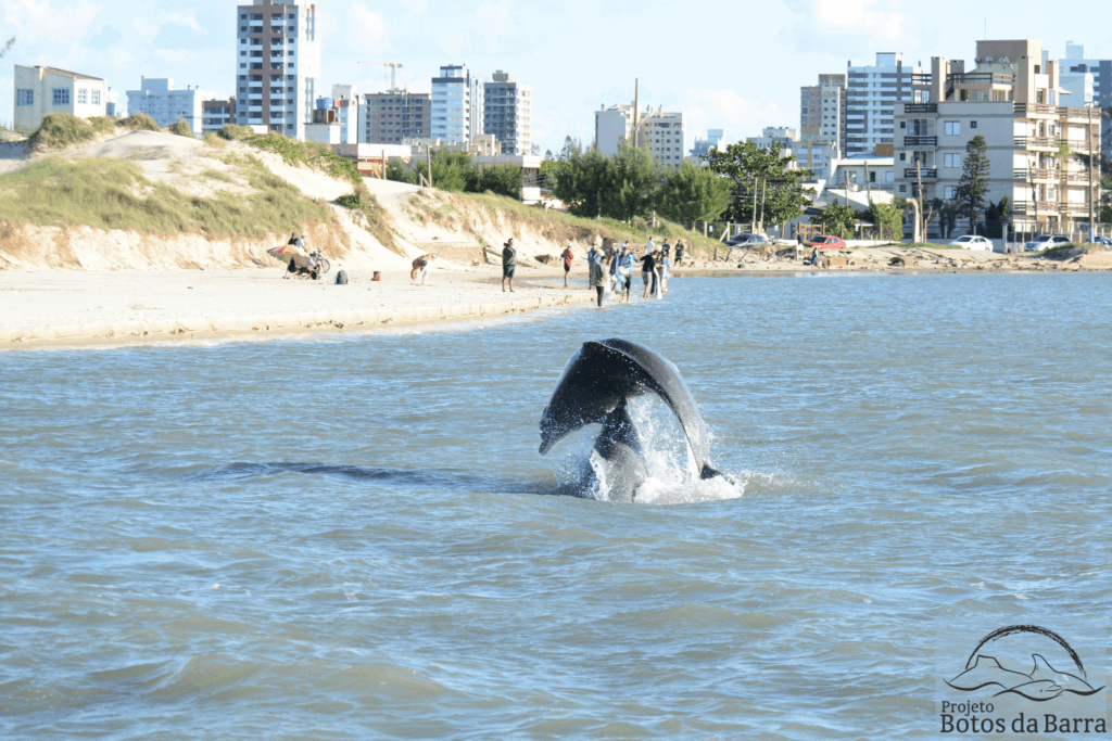 110523 SALTO GERALDONA 5