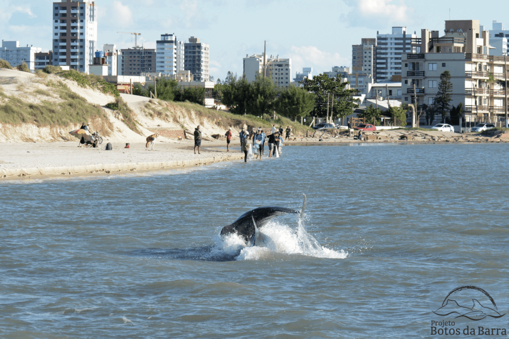 110523 SALTO GERALDONA 7