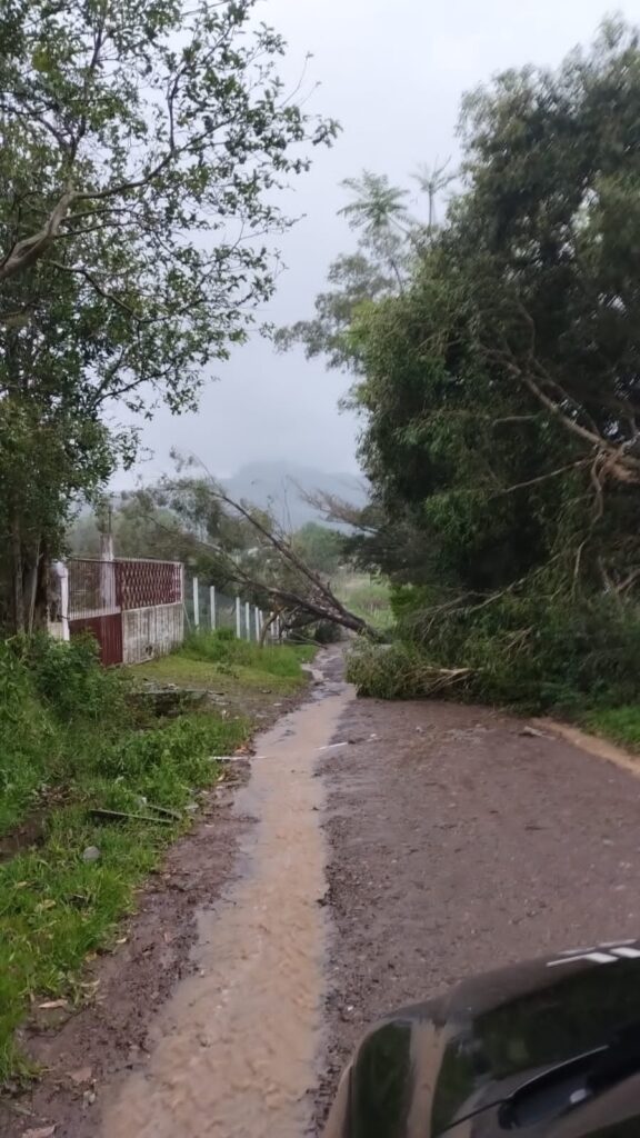 12112023 TEMPORAL SANTO ANTÔNIO DA PATRULHA (1)