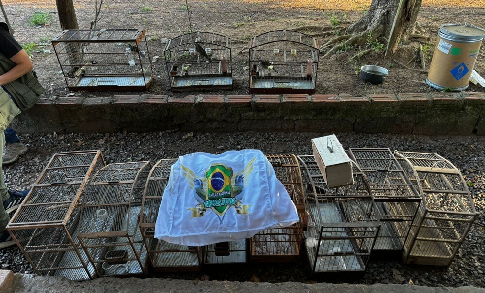 051224 POLÍCIA SANTO ANTONIO BANHADO GRANDE